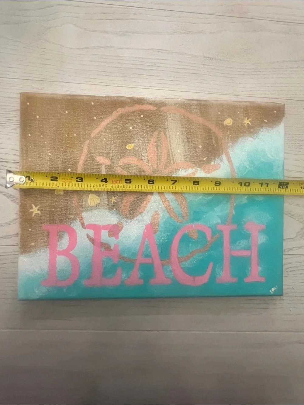 Hand Painted 12”x9” Beach Sand Dollar Wall Art Canvas in Pink and Teal